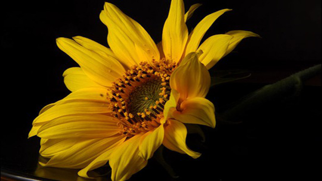 My best photos My best photos